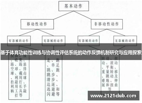 基于体育功能性训练与协调性评估系统的动作反馈机制研究与应用探索